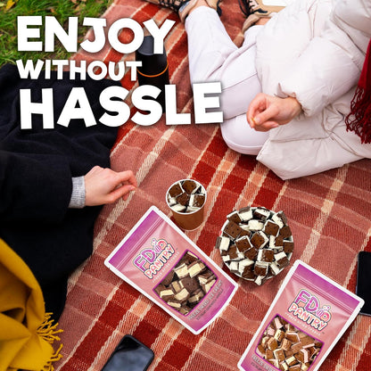 Neapolitan Freeze Dried Ice Cream Snack – Mess-Free Road Trip and RV Cooler Alternative