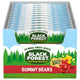 3oz (Pack of 12) - Bears (New)