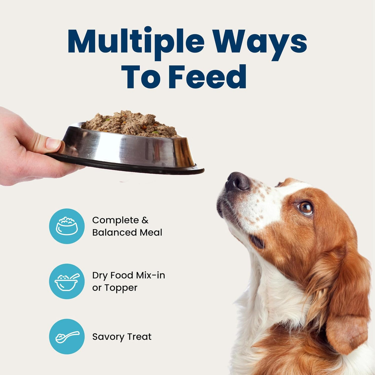 Blue Buffalo Homestyle Wet Dog Food Paté – Vet-Formulated Variety Pack Safe for Family Dogs Around Children, 6 x 12.5-oz Cans