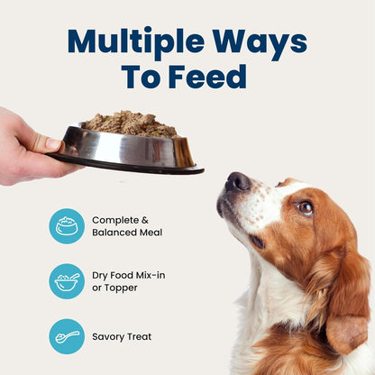 Blue Buffalo Homestyle Wet Dog Food Paté – Vet-Formulated Variety Pack Safe for Family Dogs Around Children, 6 x 12.5-oz Cans