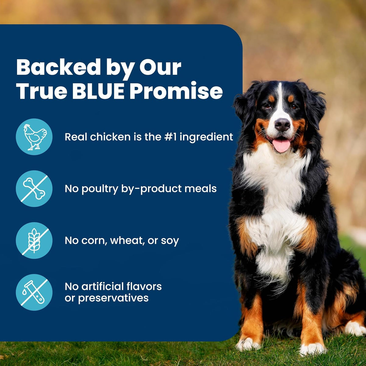 Blue Buffalo Life Protection Chicken & Brown Rice Adult Dog Food – Vet-Formulated Safe Daily Diet for Multi-Dog Homes, 15 lb