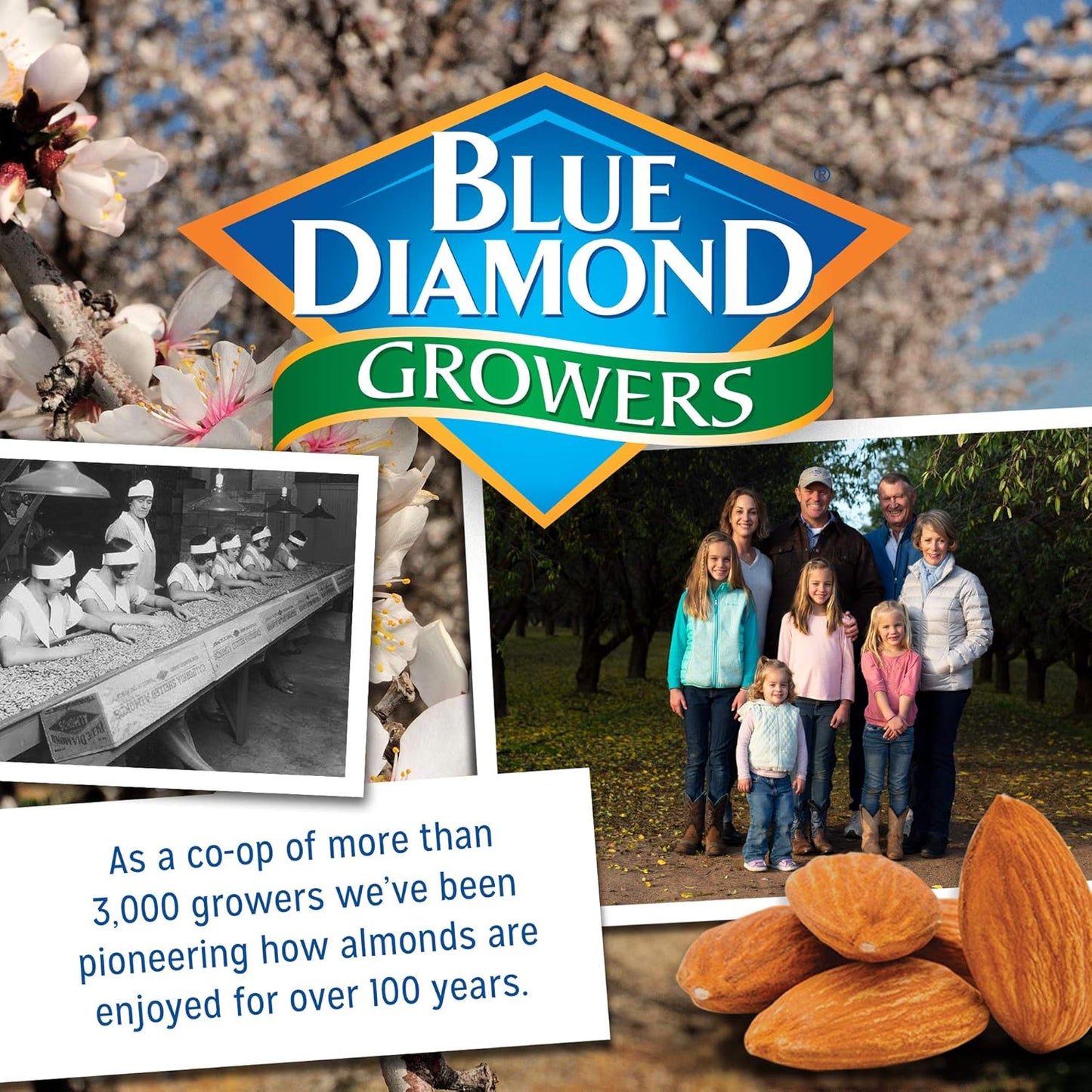 Blue Diamond Almonds Nut Thins Cheddar Cheese – Gluten-Free Appetizer Cracker for Birthday and Holiday Gift Sets