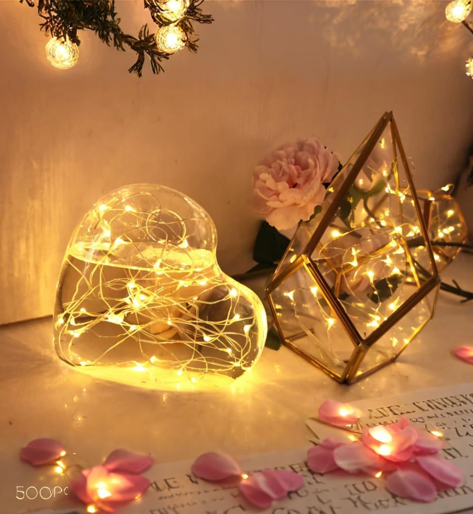 Brightown Silver Wire Fairy Lights – Bookshelf and Reading Nook Decor with 6-Hour Timer