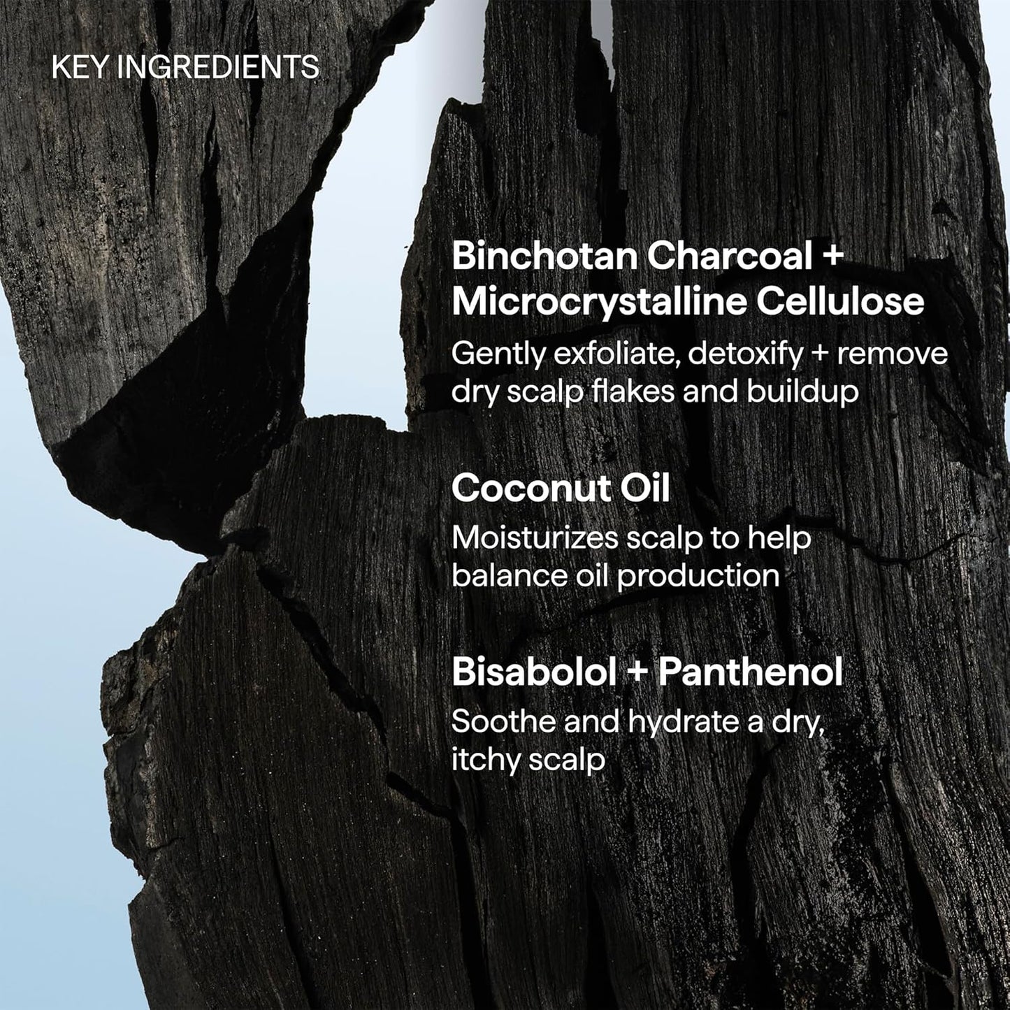 Briogeo Scalp Revival Charcoal + Coconut Oil Micro-Exfoliating Shampoo | Boutique Scalp Care Ritual for Discerning Self-Care