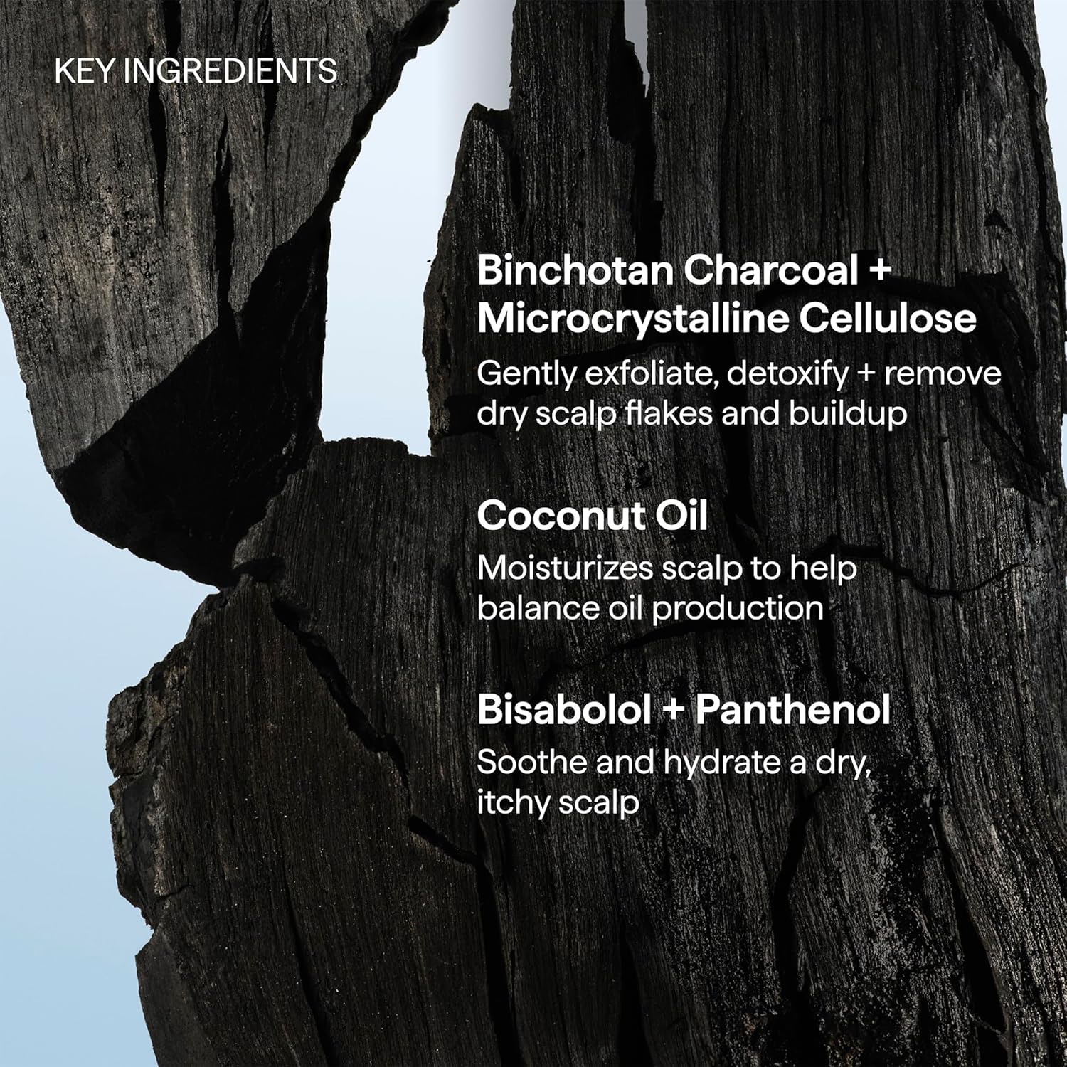 Briogeo Scalp Revival Charcoal + Coconut Oil Micro-Exfoliating Shampoo | Boutique Scalp Care Ritual for Discerning Self-Care