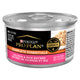 Salmon & Rice - 3 Ounce (Pack of 24)
