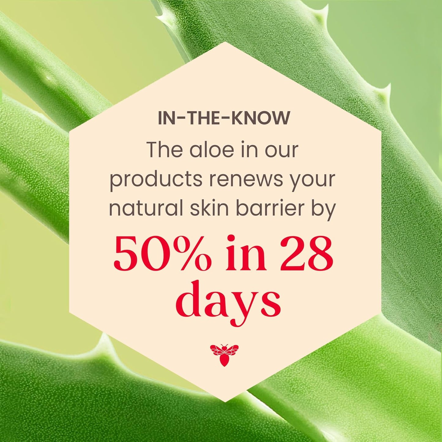 Burt's Bees Aloe and Rice Milk Night Moisturizer – 98.8% Natural Sensitive Skin Care Gift for Friends Building a Clean Beauty Routine