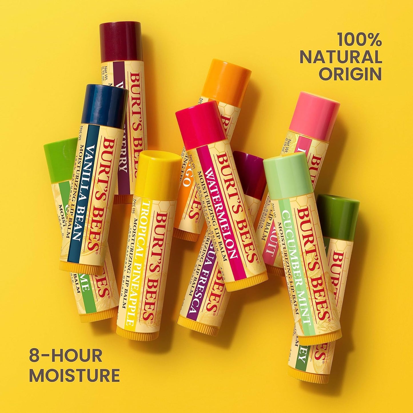 Burt's Bees Beeswax Lip Balm – Outdoor Dining and Travel Day Lip Protection, TSA Approved