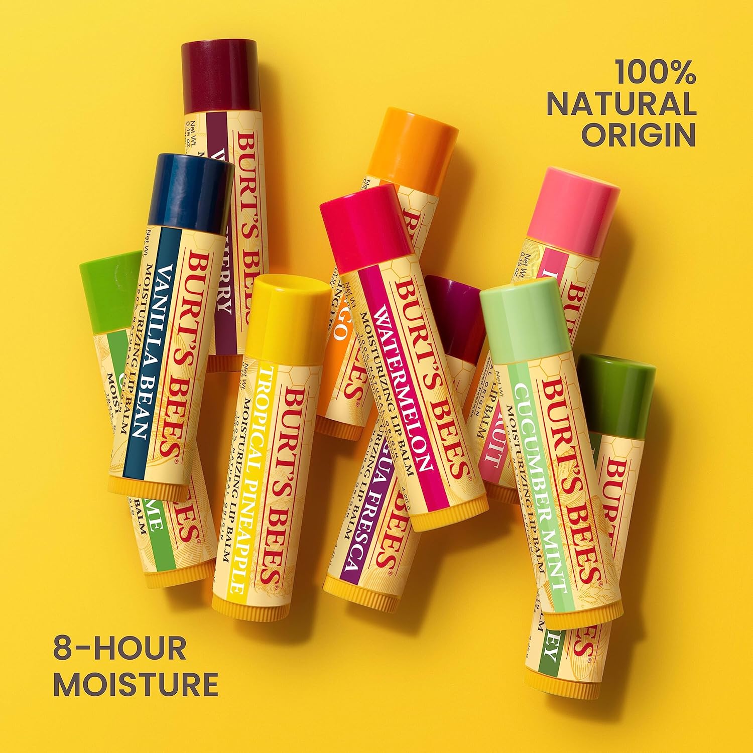Burt's Bees Beeswax Lip Balm – Outdoor Dining and Travel Day Lip Protection, TSA Approved