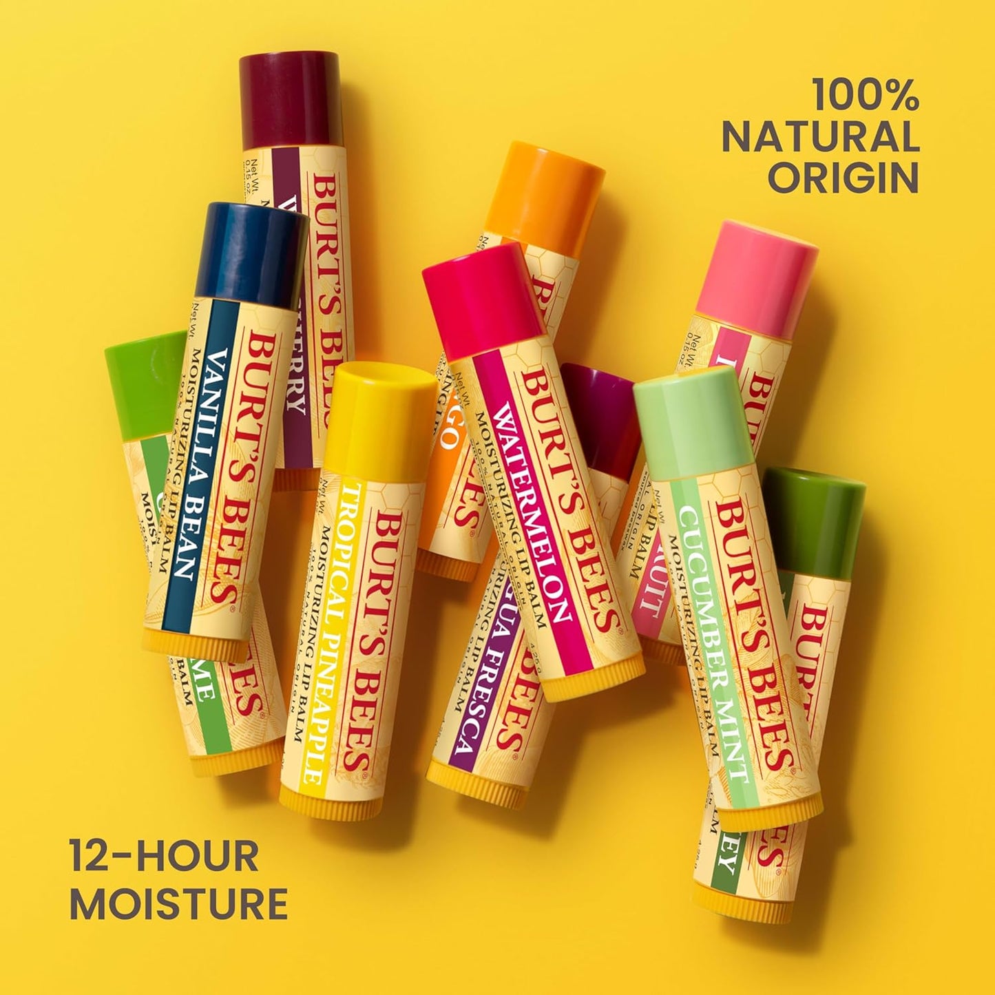 Burt's Bees Natural Origin Lip Balm – Office-Friendly Tube for Conference Room, Desk Drawer, and Travel Day
