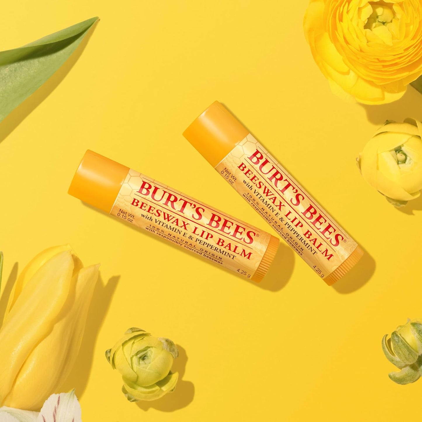 Burt's Bees Natural Origin Lip Balm – Office-Friendly Tube for Conference Room, Desk Drawer, and Travel Day