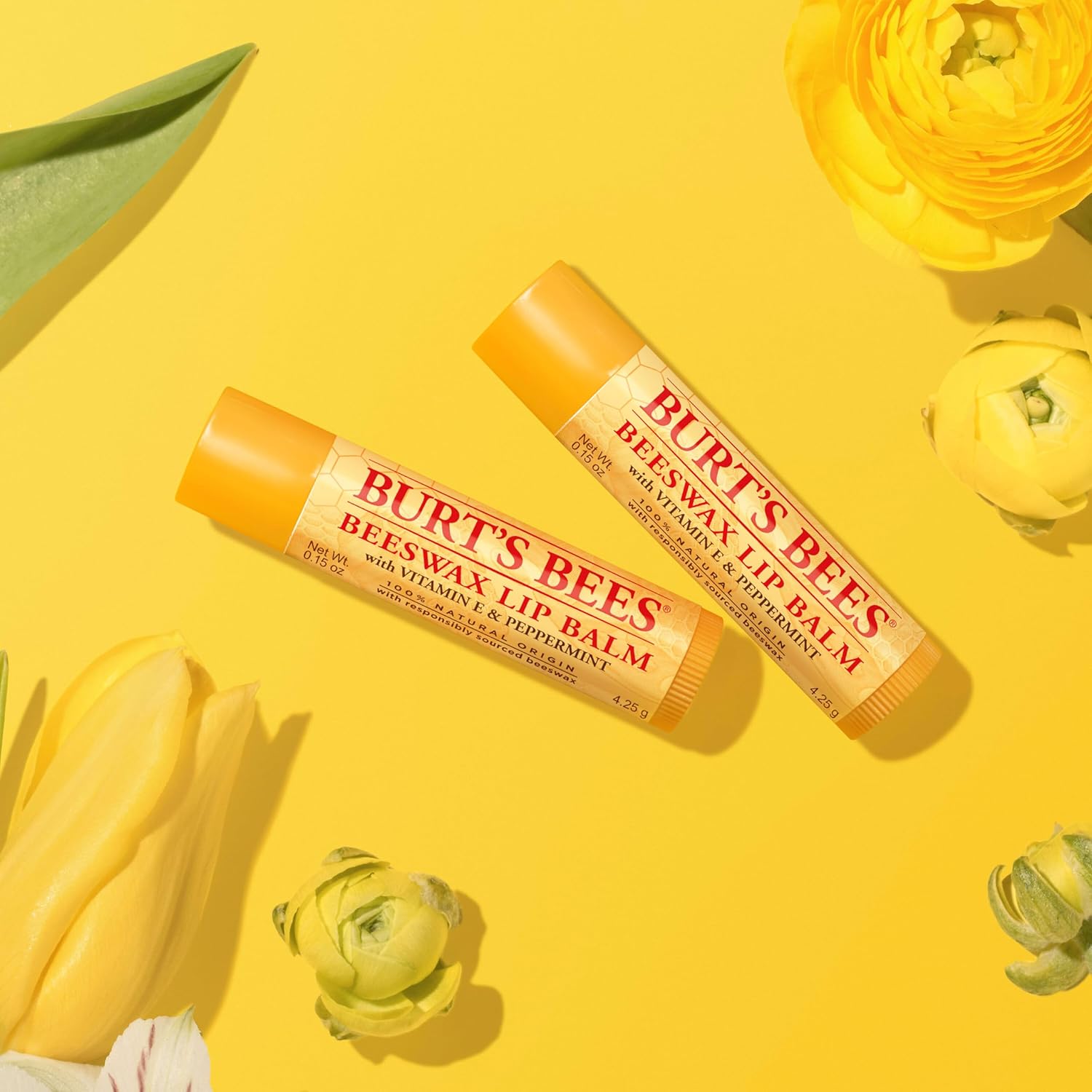 Burt's Bees Natural Origin Lip Balm – Office-Friendly Tube for Conference Room, Desk Drawer, and Travel Day