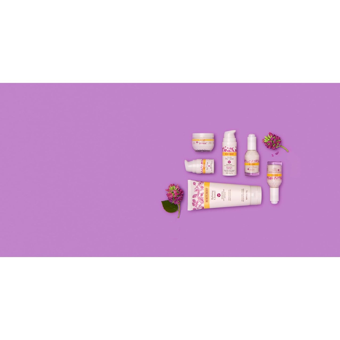 Burt's Bees Renewal Night Cream – Simple Fragrance-Free Cream for a Minimalist Nightstand Skincare Ritual