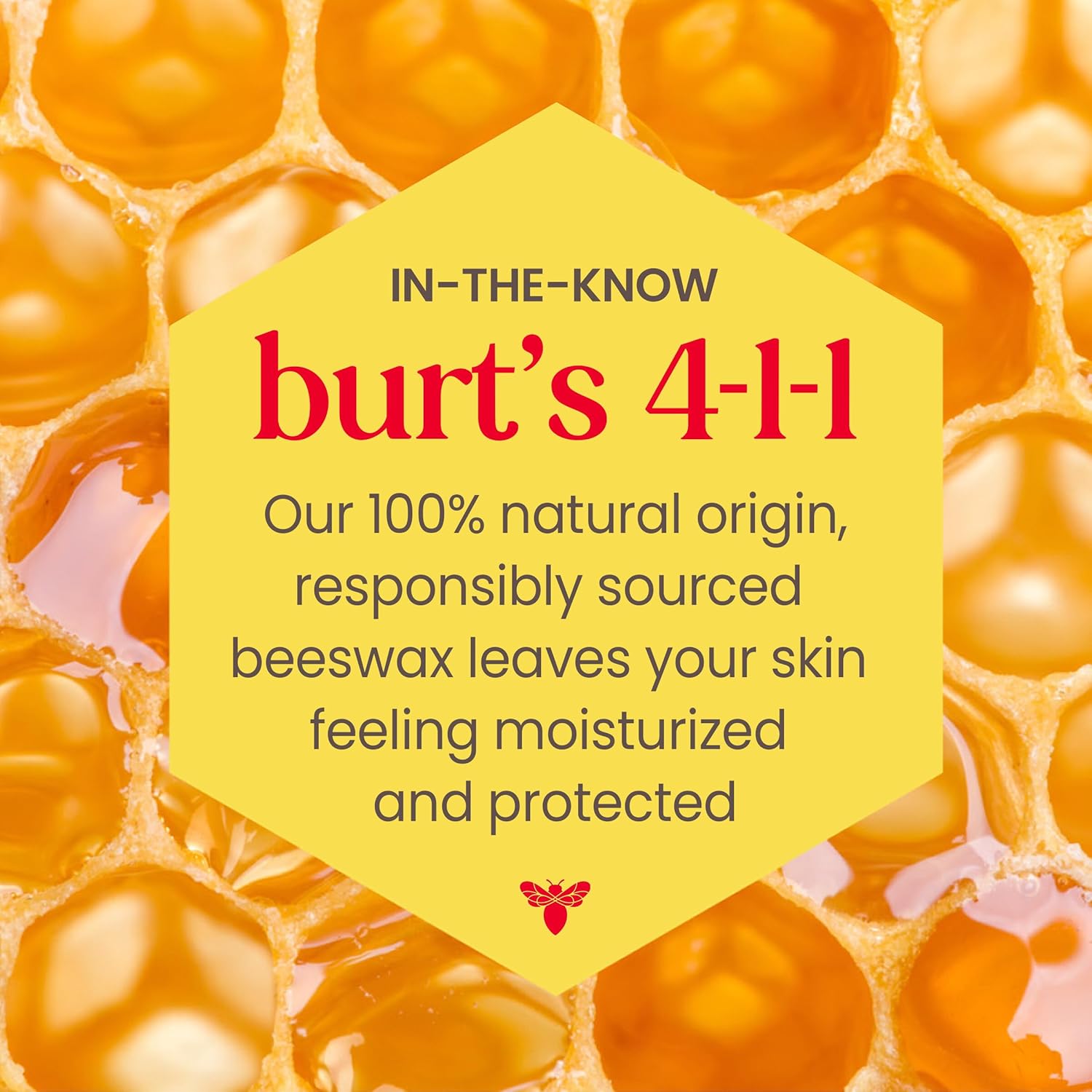 Burt's Bees Tinted Lip Balm – Streamlined Everyday Lip Color for Neutral-Toned Collections, 0.3 oz Travel Tube