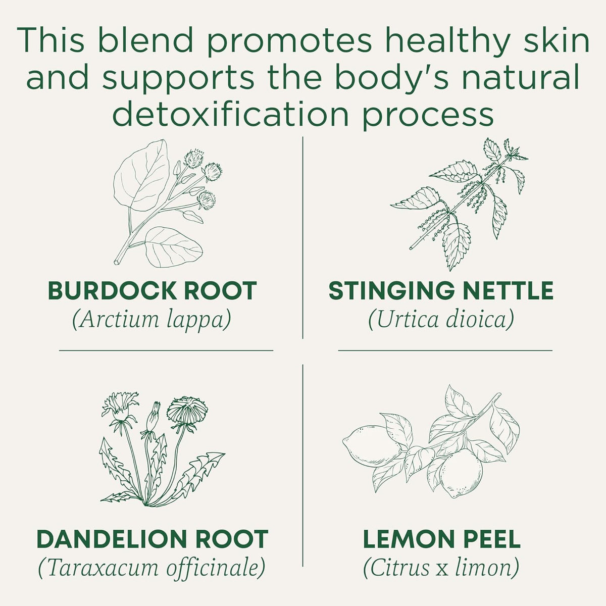 caffeine-free formulation suitable for evenings and sensitive drinkers