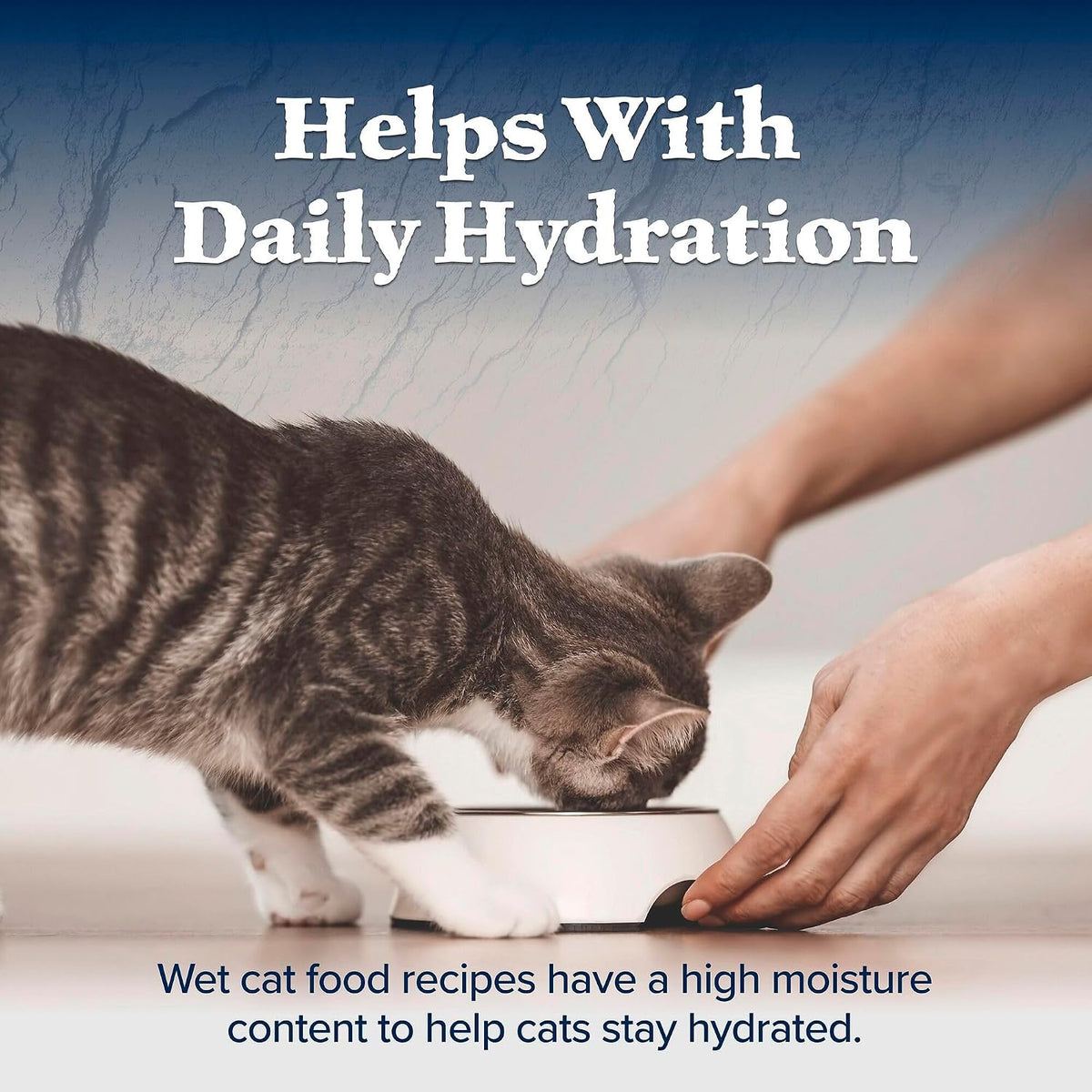 Blue Buffalo Wilderness Kitten Wet Cat Food, 3 oz Single-Serving Cans for Mindful Feeding Rituals