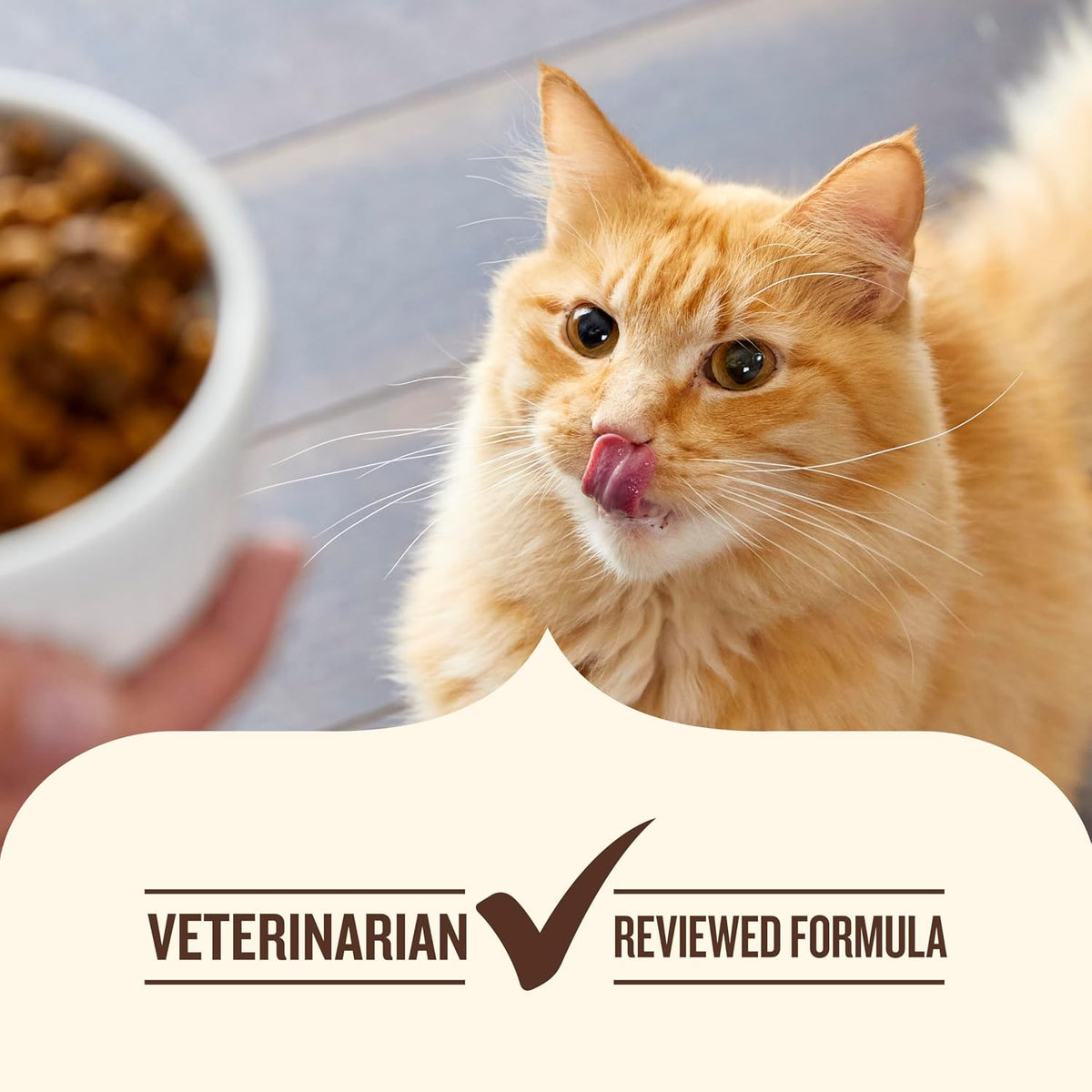 Nutrish Dry Cat Food Chicken First Recipe for Household Feeding Safety, Complete Dry Cat Food with Added Vitamins and Minerals