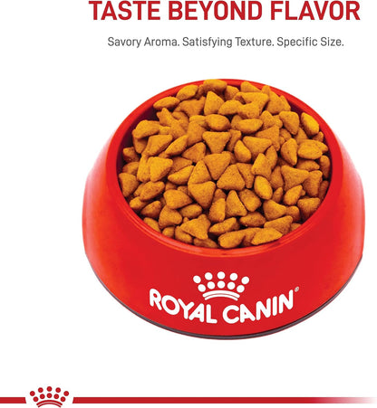Royal Canin Indoor Adult Cat Food for a Clean Feeding Area, Controlled Calories and Highly Digestible Protein