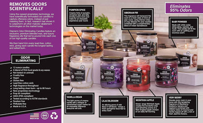 Clean-Burning Soy Candle for Homes with Kids and Pets, Lead-Free Cotton Wick, 12 oz Odor-Eliminating Jar