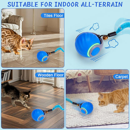 compact 0.5-inch ball design that rolls across carpet with cat-attracting chittering sound
