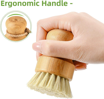 compact 5.8 x 3.5 x 3.9 inch footprint for small kitchens and counters
