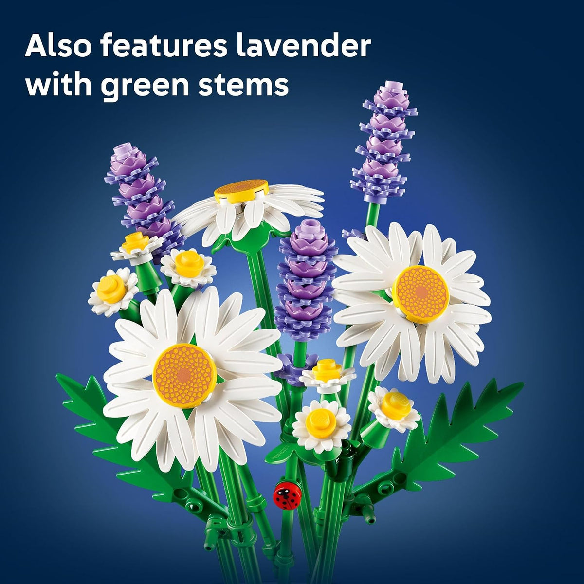 compact display size — larger daisy over 7.5 in. (20 cm) tall, smaller daisy over 6.5 in. (16 cm) tall