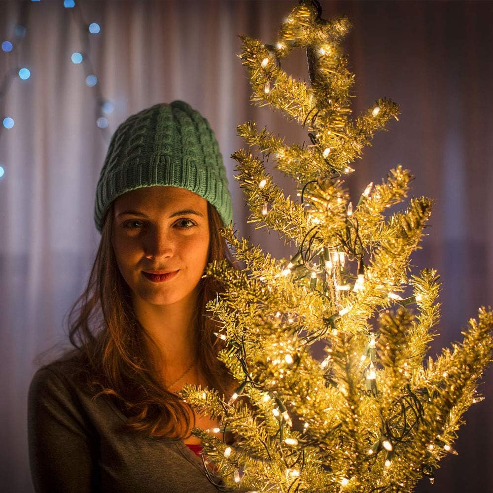 Cool to Touch LED String Lights with Locking Battery Compartment, Worry Free Decor Around Kids Pets and Curtains, Waterproof Battery or USB Powered Lights