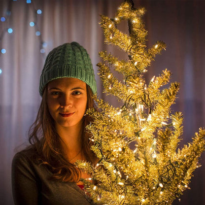 Cool to Touch LED String Lights with Locking Battery Compartment, Worry Free Decor Around Kids Pets and Curtains, Waterproof Battery or USB Powered Lights