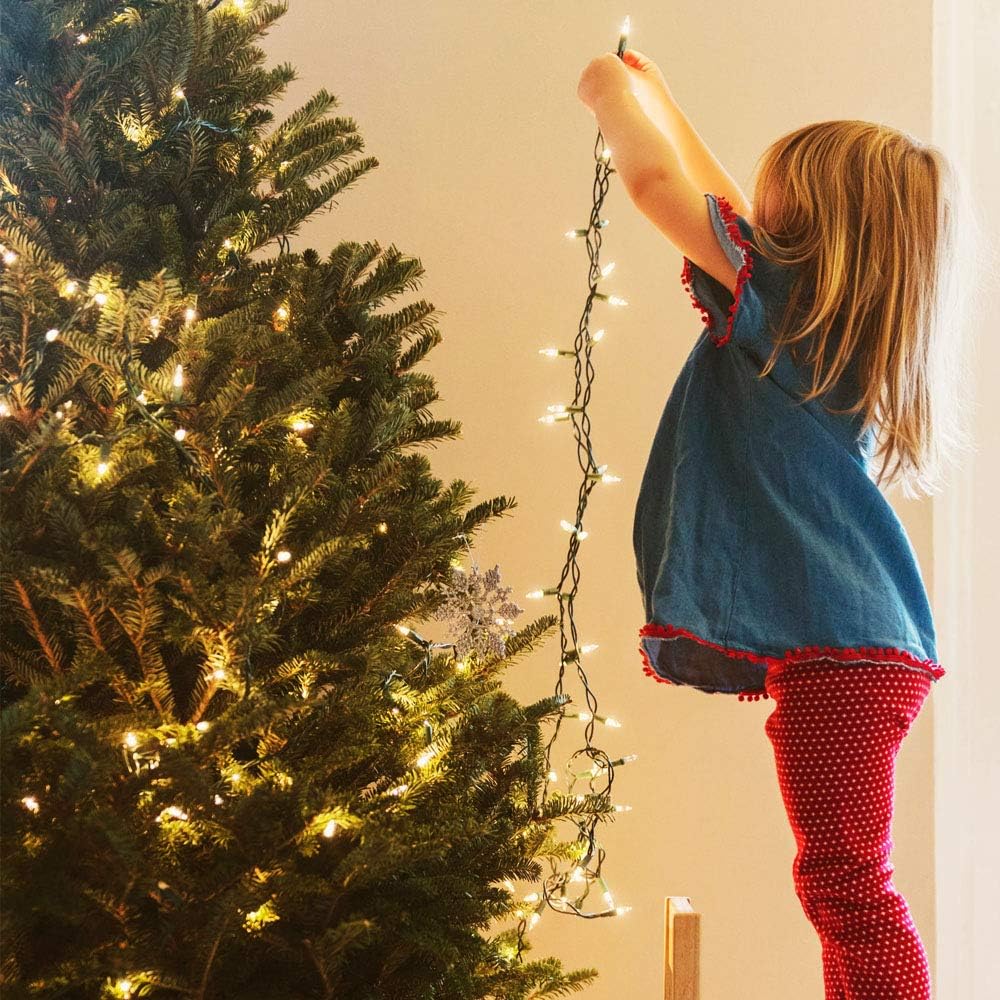 Cool to Touch LED String Lights with Locking Battery Compartment, Worry Free Decor Around Kids Pets and Curtains, Waterproof Battery or USB Powered Lights