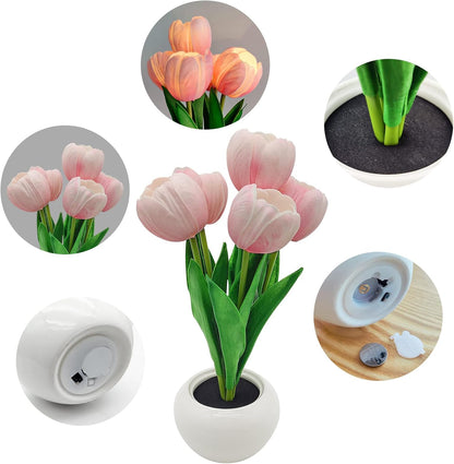 cordless and portable form factor (3.9 x 3.9 x 10.2 inches, 11.2 oz)