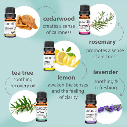 cruelty-free, free from harsh ingredients