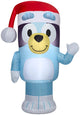 Bluey Christmas
