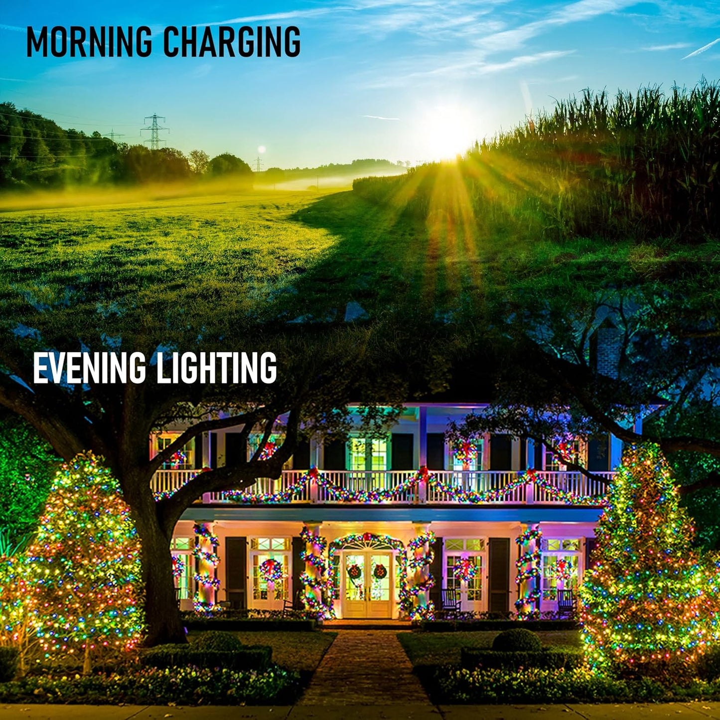 Dazzle Bright Solar Powered Fairy Lights – Unique Gift for Plant Lovers, 9 Color Outdoor String Lights for Tree and Patio