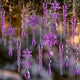 Purple - 18pcs