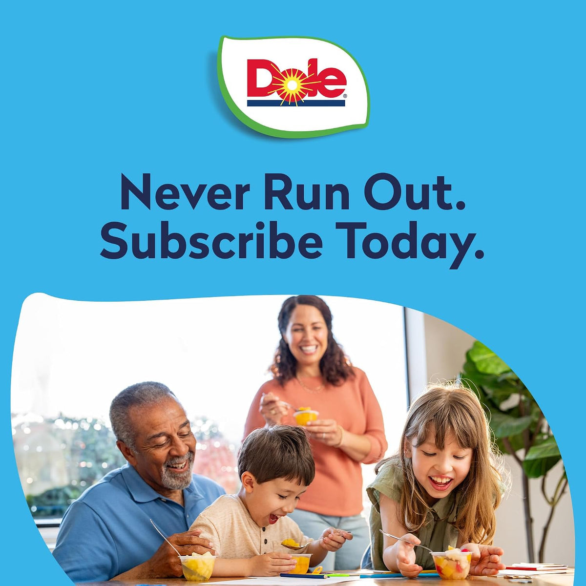 Dole No Sugar Added Fruit Variety – Bulk Pantry Pack for Office Kitchens and Commute Snacking