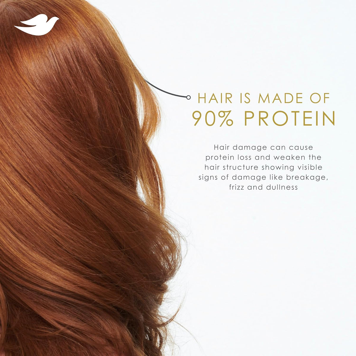 Dove Bio-Protein Care Shampoo with Hyaluronic Serum – Cruelty-Free Moisture Care for the Whole Family, 28 Fl Oz