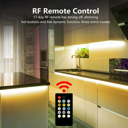 dual control: rf remote (dimming, timer, 5 dynamic modes, 3 scene modes) plus touch control on the dimmer