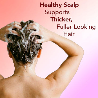 dual-product set (2 x 16oz) — available as full combo or conditioner-only variant
