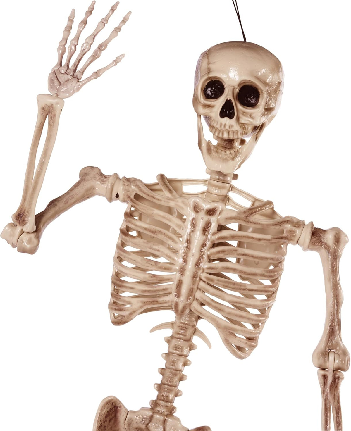 JOYIN Life Size Halloween Skeleton for Front Porch and Living Room Atmosphere, 67 Inch Posable Full Body Bones with Aging Texture for Elevated Home Decor