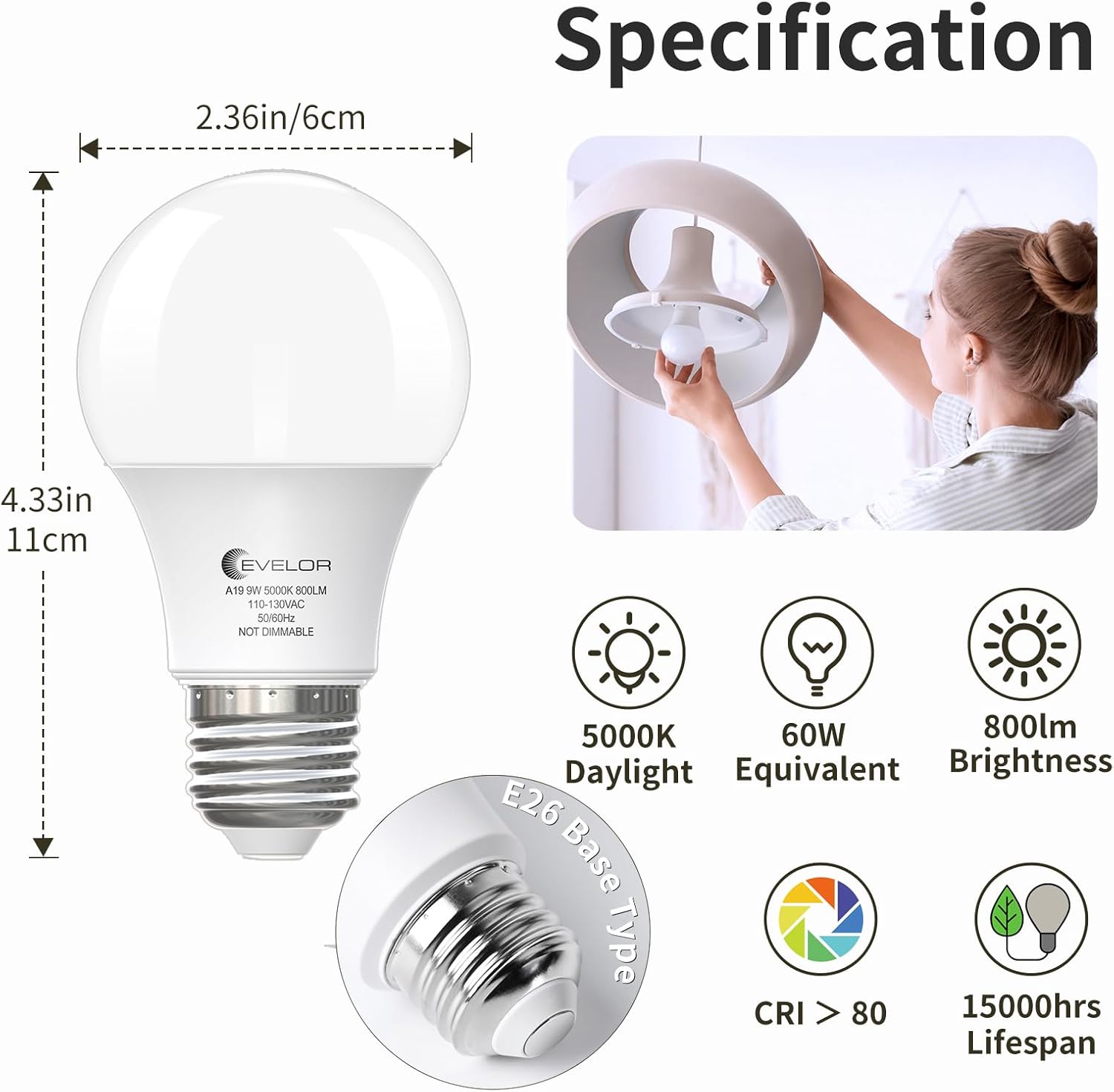 e26 medium screw base compatible with standard us fixtures
