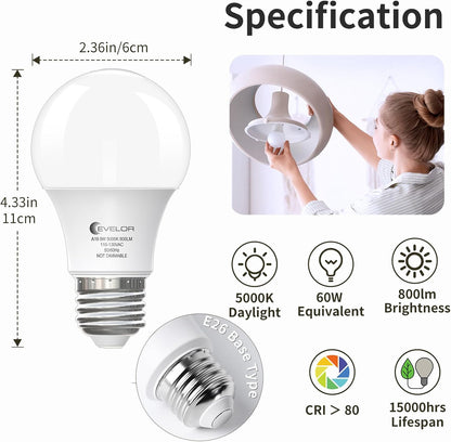 e26 medium screw base compatible with standard us fixtures