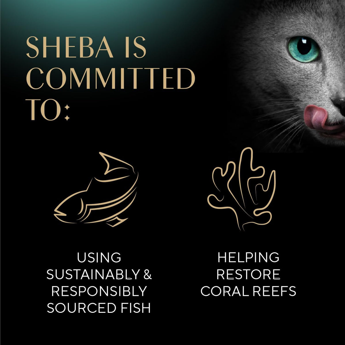 Sheba Perfect Portions Pate Wet Cat Food – Streamlined Dinner Service for Working Cat Parents