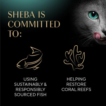 Sheba Perfect Portions Pate Wet Cat Food – Streamlined Dinner Service for Working Cat Parents