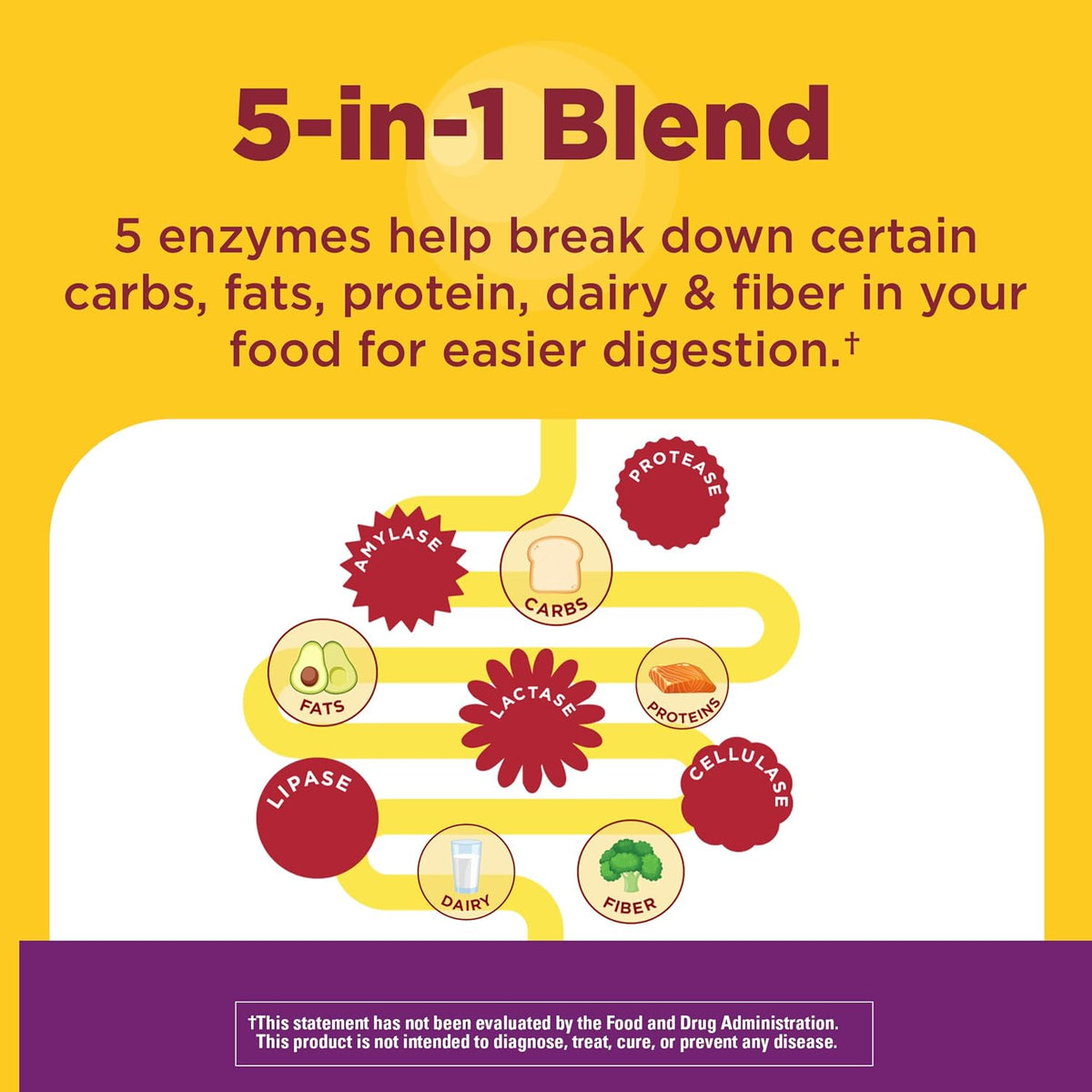 each enzyme targets a different food type, including carbohydrates, fats, protein, fiber, and dairy