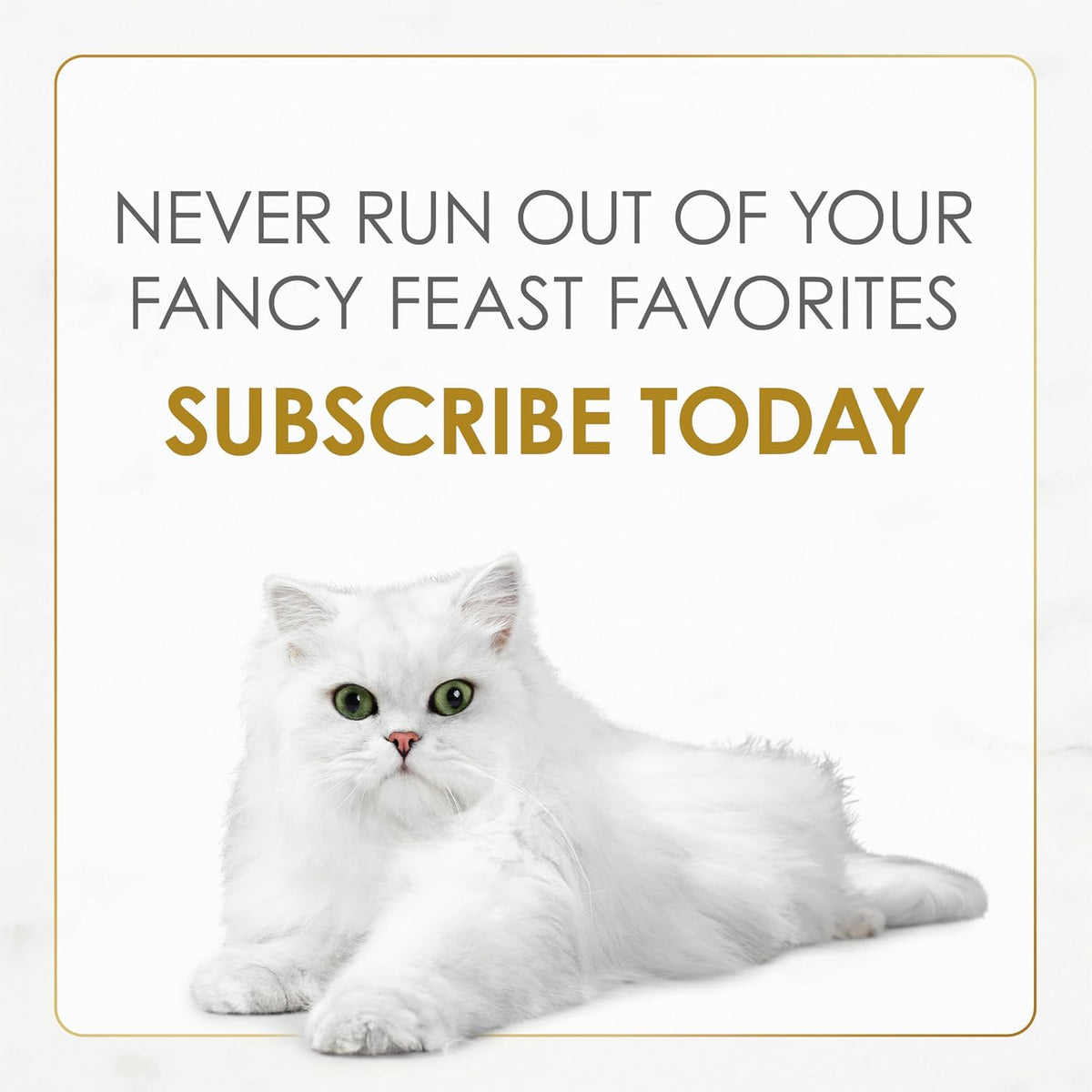 Purina Fancy Feast Gravy Lovers – Savory Multi-Flavor Wet Food for a Balanced Feeding Routine