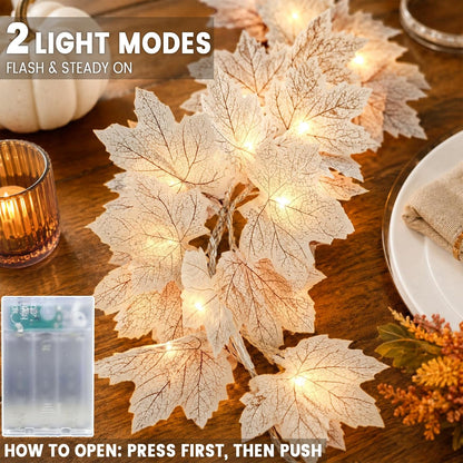 each strand includes 20 warm leds and 20 leaves, for 40 leds and 40 leaves in the two-pack