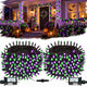 Purple & Green - 2Pack Total 400LED