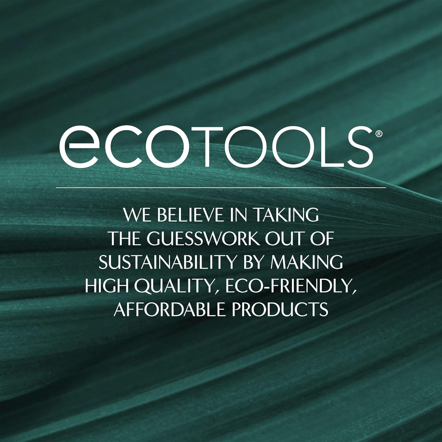 EcoTools Dry Body Brush – Calming Self-Care Tool for Bedtime Wind-Down Ritual, Gentle Exfoliation for Glowing Skin