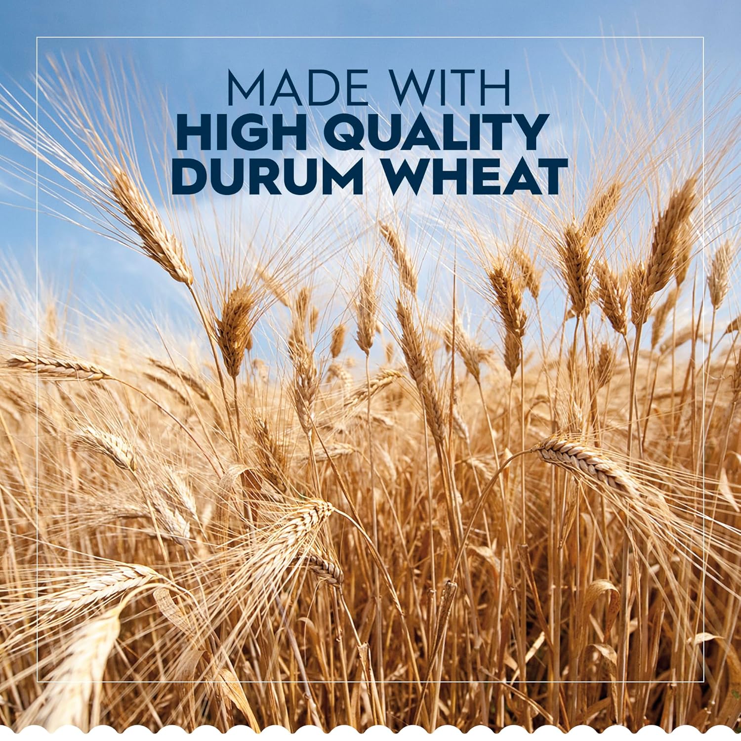 enriched with iron, thiamin mononitrate, riboflavin, and folic acid