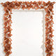 Orange&white